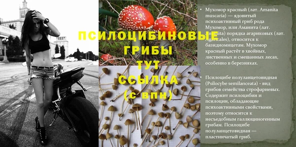 молекула духа Покров