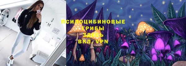 трава Балахна