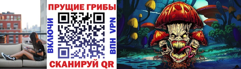 Псилоцибиновые грибы Psilocybine cubensis  наркота  Туапсе 